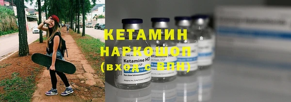 стаф Осинники