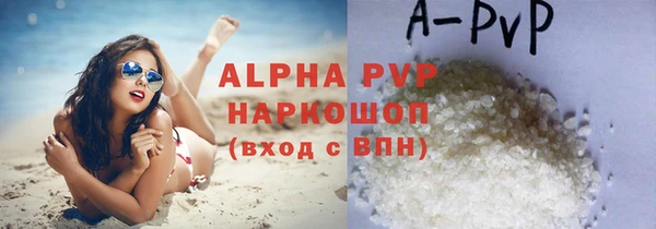 стаф Осинники