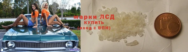 стаф Осинники