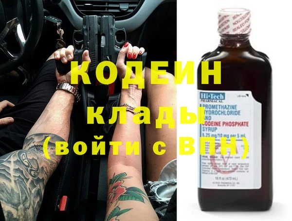 стаф Осинники
