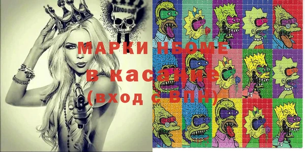 стаф Осинники