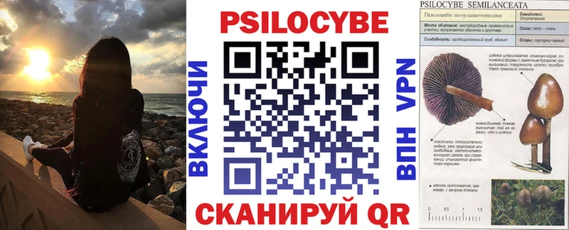 Псилоцибиновые грибы Cubensis купить наркотик Конаково
